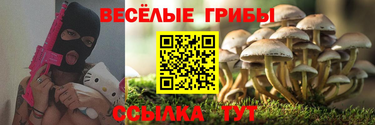 Азнакаево  как найти   Вход с VPN  Галлюциногенные грибы Psilocybine cubensis 